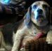Profile Picture of Martin Mull Jr. (@Martin-Mull-Jr) on Facebook