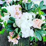 Profile Picture of Seaside Floral Design (@kim.cerny) on Instagram