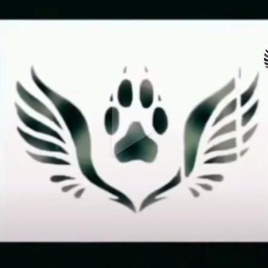 Profile Picture of user5854706459298 (@@zacharyholland12) on Tiktok
