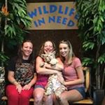 Profile Picture of Lisa Courtney Compher (@lisacourtneycompher) on Instagram