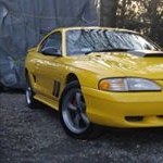 Profile Picture of joe_neils (@joe_neils) on Instagram