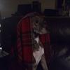 Profile Picture of randyhepfer7 (@randyhepfer7) on Tiktok