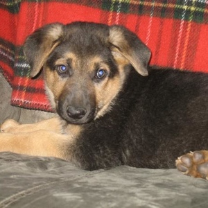 Profile Picture of Chanse Allison (@388599610) on Myspace