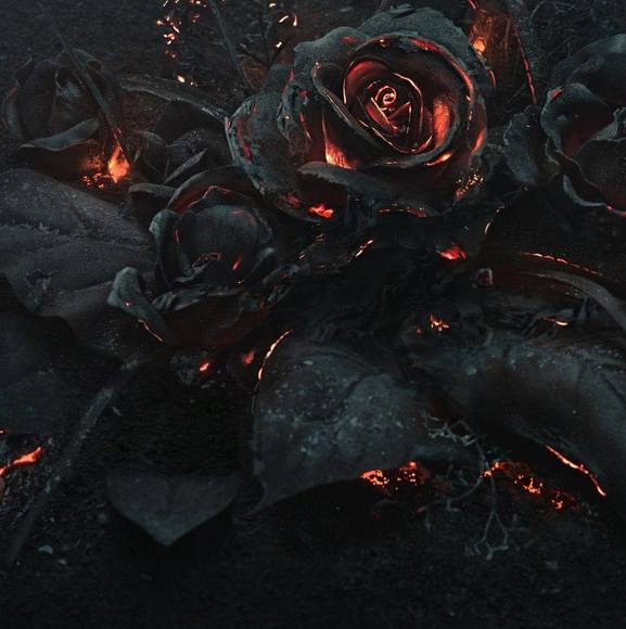 Profile Picture of Ayden Davis (@ayden__45) on Poshmark