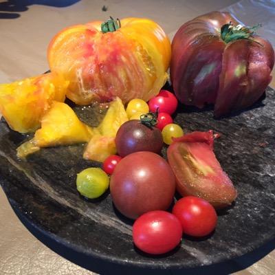 Profile Picture of FRANCO KISIC (@fkisic) on Twitter