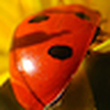 Profile Picture of Jack Brett (@Jack Brett) on Flickr