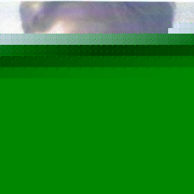 Profile Picture of Wade Wagoner (@whatismyfocus) on Myspace
