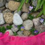 Profile Picture of Jocelyne Roy (@jocehardy2) on Instagram