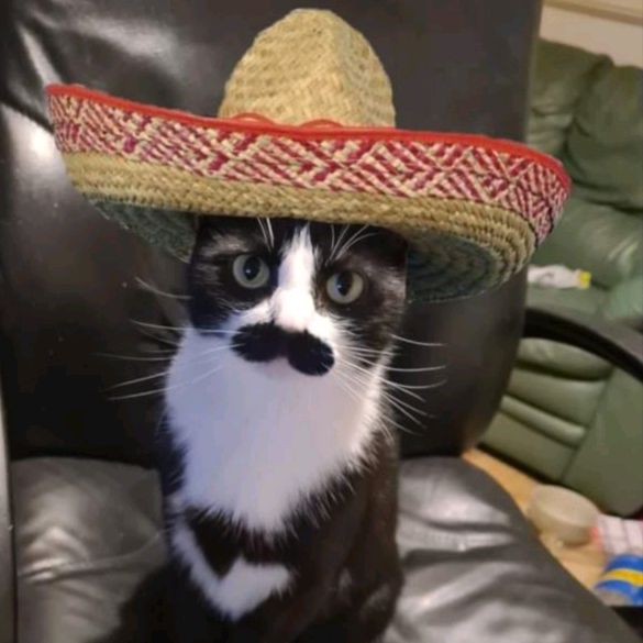 Profile Picture of Michael (@michaelmarzt) on Tiktok