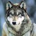 Profile Picture of Monte Johnson (@monte.johnson.942) on Facebook