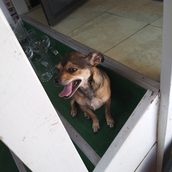 Profile Picture of Adam & julie Pringle (@stinkles6242016) on Poshmark