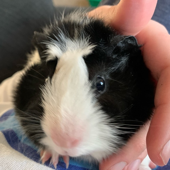 Profile Picture of Clancy Mann (@clmann) on Poshmark