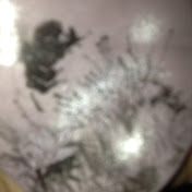 Profile Picture of Kailyn Flora Allen Allen (@kailynfloraallenallen2208) on Youtube