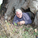 Profile Picture of Tree Hunter Rob Mcbride (@thetreehunter) on Flickr