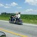 Profile Picture of Joe Houk (@houk46038) on Pinterest
