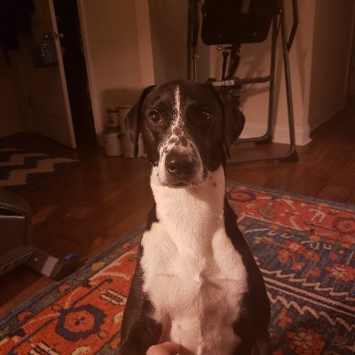 Profile Picture of James Linzel (@JamesLinzel) on Twitter