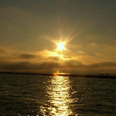 Profile Picture of Brian Postma (@postb52) on Twitter