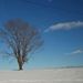 Profile Picture of Ye Rhee Kim (@yerheek) on Pinterest