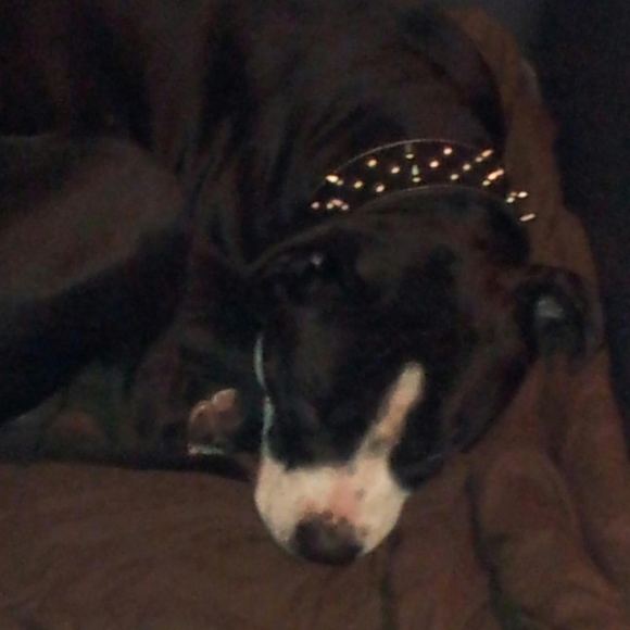 Profile Picture of Larry Baldwin (@bai1235) on Poshmark