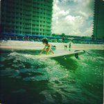 Profile Picture of Jim Fulcher (@arparria) on Instagram