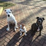 Profile Picture of Dan McCutcheon (@d_clutch023) on Instagram