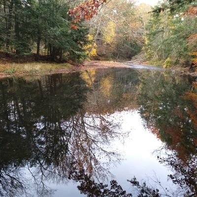 Profile Picture of Scott Garland (@fshingnortheast) on Twitter