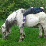 Profile Picture of Rachel Speckens (@rachelspeckens) on Instagram