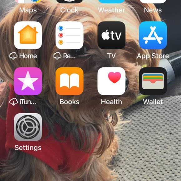 Profile Picture of Ted Stout (@stoutt5) on Poshmark