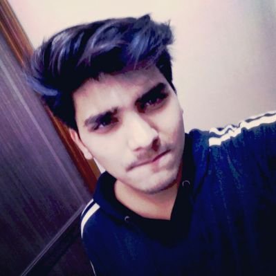 Profile Picture of Rishab Gupta (@rishab1029) on Twitter