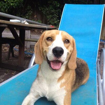 Profile Picture of Sonja Studach (@sonjaellen) on Twitter