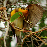 Profile Picture of Kausar Galaria (@frames of life - kausar) on Flickr