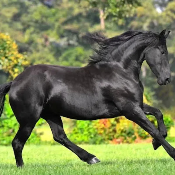 Profile Picture of Evie Wrazen (@eve_alexis614) on Poshmark