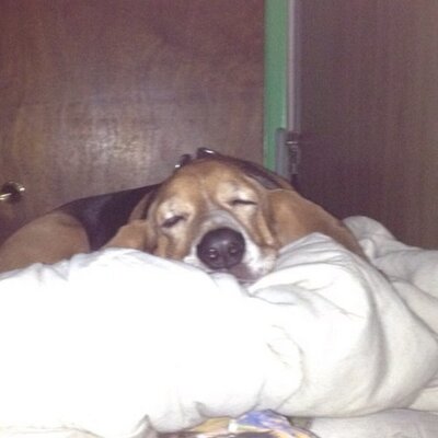 Profile Picture of Anthony Hailey (@5by5Angelus) on Twitter