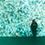 Profile Picture of Cayla (@mountain-moon) on Flickr