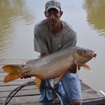 Profile Picture of Brian Grohman (@briangrohman) on Instagram