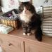 Profile Picture of David Tibbles (@david.tibbles.75) on Facebook
