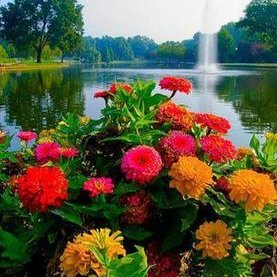 Profile Picture of Mujib Rahman (@7ead030b472e446) on Twitter