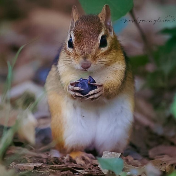 Profile Picture of Gautam Singla (@gautam_singla) on Poshmark