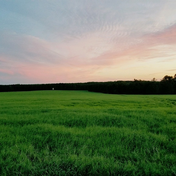 Profile Picture of Danielle Bradsher (@dbradsher) on Poshmark