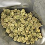 Profile Picture of Frank Jeffrey (@frankjeffrey36) on Instagram