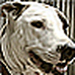 Profile Picture of Paul Leverett (@paulophobe) on Flickr