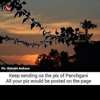 Profile Picture of williamhally (@williamhally) on Instagram