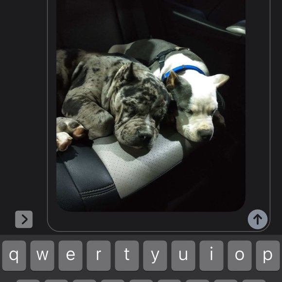 Profile Picture of Xavier Taylor (@xaviertaylor357) on Poshmark