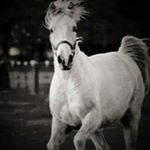 Profile Picture of Clint Scroggins (@clintscroggins) on Instagram