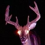 Profile Picture of Aaron McCracken (@mccracken.a) on Instagram