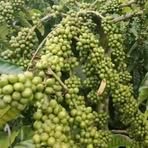 Profile Picture of Hery Siger (@hery.siger) on Facebook