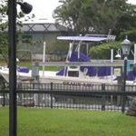 Profile Picture of Susan Jeffrey-Ehrlich (@sjehrlich1) on Instagram