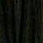 Profile Picture of deshields.steven (@deshields.steven) on Flickr