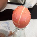 Profile Picture of Steve (@handmadesamples) on Instagram