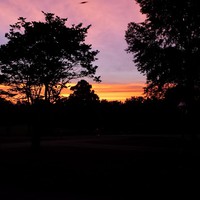 Profile Picture of Lorrie Hackett (@lorrie-hackett) on Quora